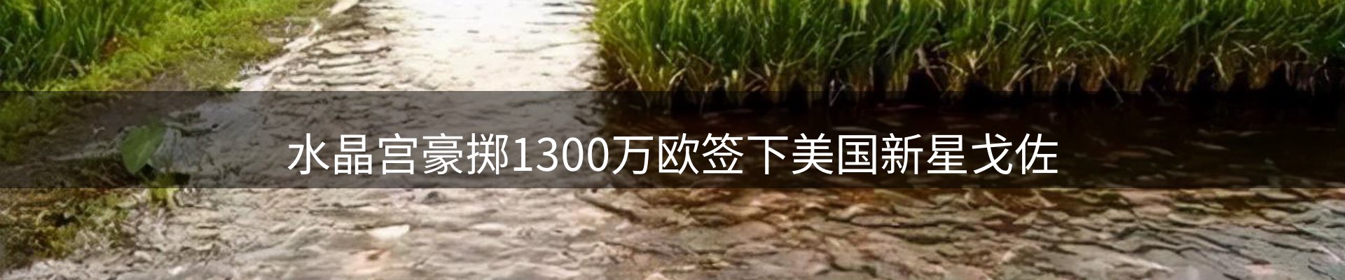 今日资讯